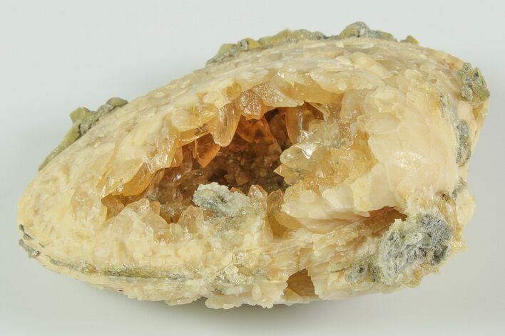 Fossil Clam with Fluorescent Calcite Crystals - Ruck's Pit, FL #191761